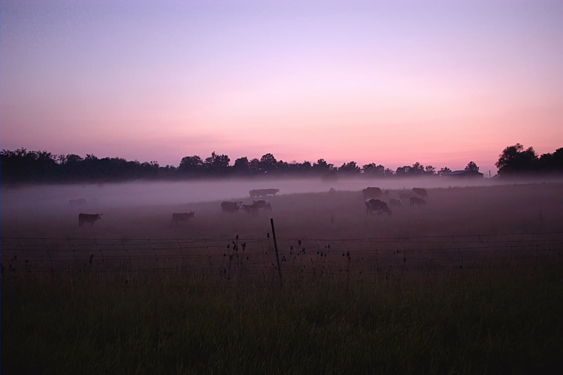 Binbrook, Ontario